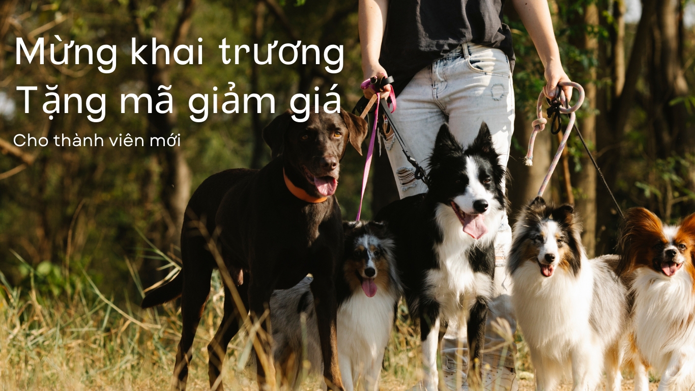 회원가입 할인 쿠폰 증정