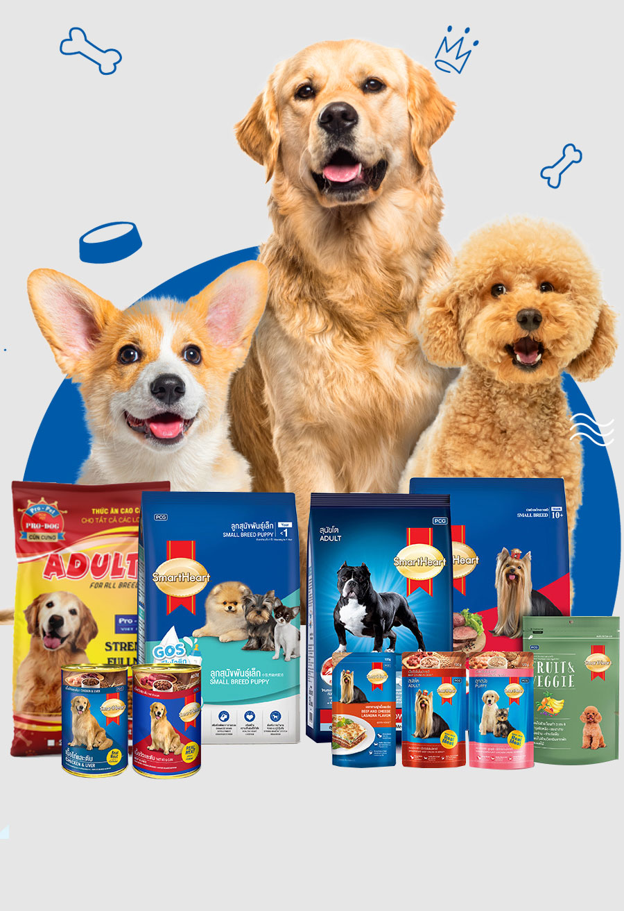 Thức ăn cho chó