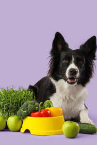 Thực phẩm bổ sung