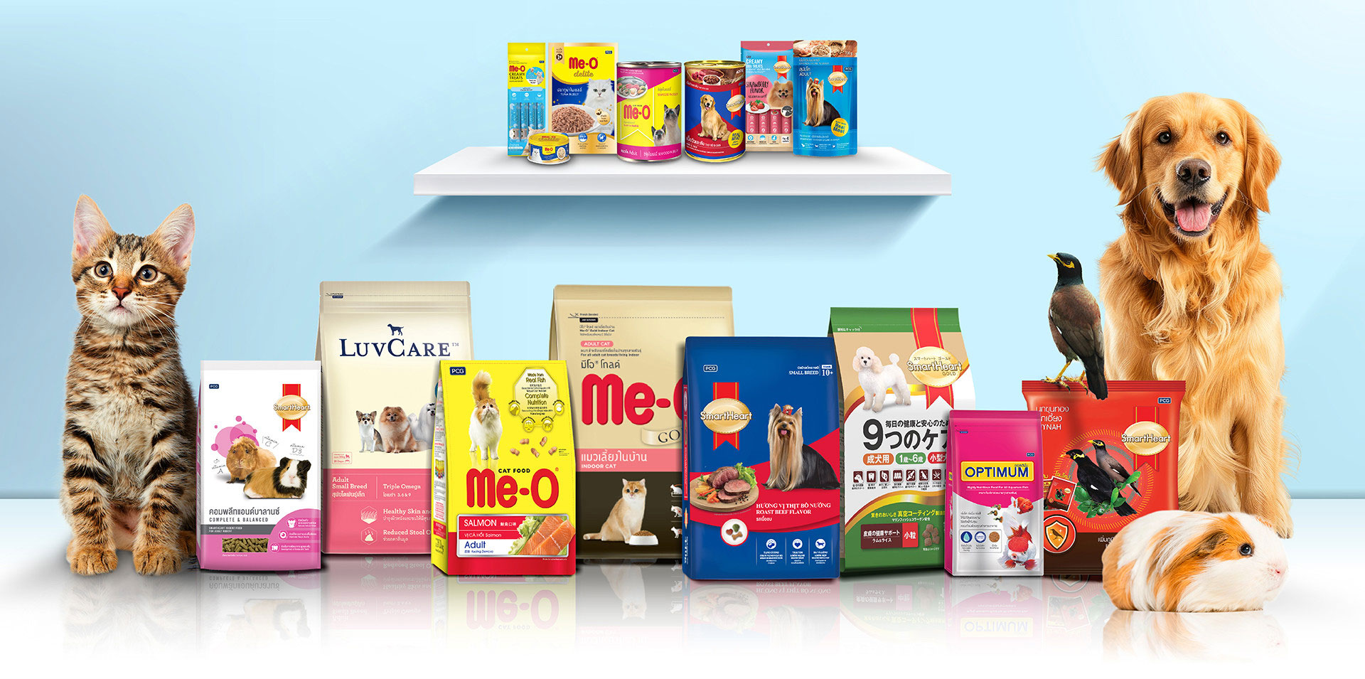 Sky Pet Mall, bắt đầu từ trái tim của người yêu động vật