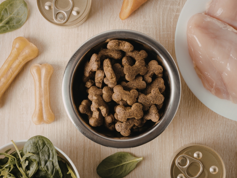 Tiêu chí chọn thức ăn cho chó (theo độ tuổi / tình trạng bệnh)