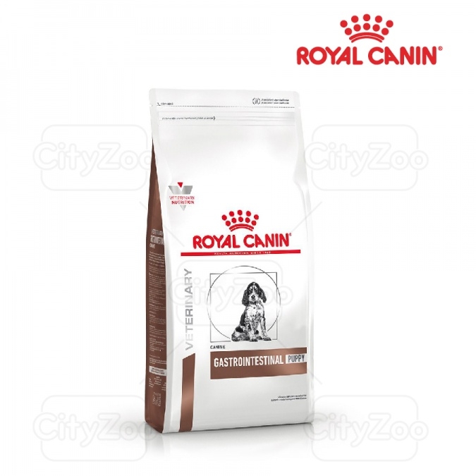 Dog Gastro Intestinal Puppy