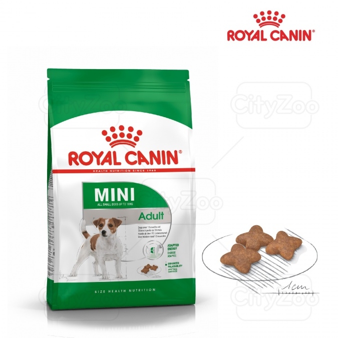 Dog Mini Adult